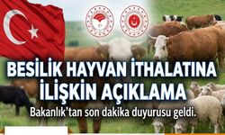 Besilik hayvan ithalatına ilişkin açıklama