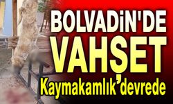 Afyon Bolvadin'de vahşet!..