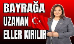 Burcu Köksal: Bayrağa uzanan eller kırılır!..