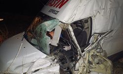 Gazete dağıtım aracı şarampole devrildi