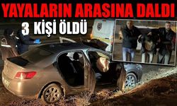 Hız yarışının feci sonu: 3 kişi öldü