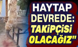 Bolvadin vahşeti: HAYTAP devreye girdi