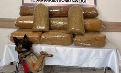 Afyon'da kaçak tütün operasyonu