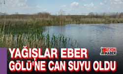Yağışlar Eber Gölü'ne can suyu oldu