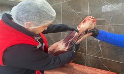 Afyon'da gıda işletmelerine yönelik denetimler sürüyor