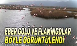 Su seviyesi artan Eber Gölü'nde Flamingolar böyle görüntülendi