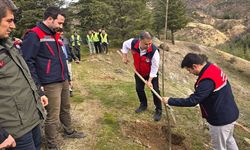 Afyon'da 2 bin fidan toprakla buluşturuldu