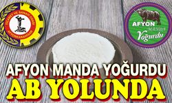 Afyonkarahisar Manda Yoğurdu, AB yolunda