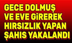 Dolmuş ve evden hırsızlık yapan şahıs yakalandı