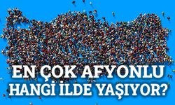 En çok Afyonlu hangi ilde yaşıyor?!..