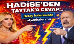 Hadise'den tepkilere cevap geldi!..