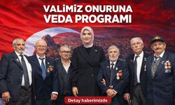 Vali Kübra Güran Yiğitbaşı'ya veda programı