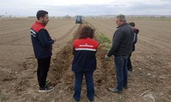 Afyon'da patates ekim sezonu başladı