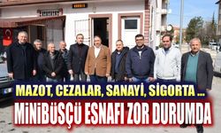 Mazot yanıyor, ceza yağıyor, minibüsçü esnafı zor durumda