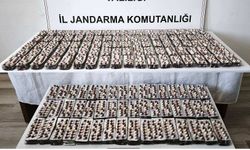 Yolcu otobüsüne torbacı operasyonu!..