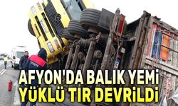 Afyon'da balık yemi yüklü tır devrildi