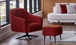 Berjer Nedir ve Nerede Kullanılır?