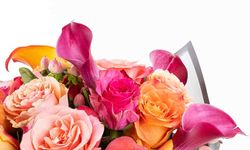 Duyguların En Samimi ve Estetik Hali