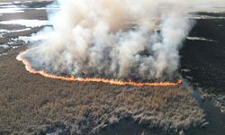 Karamık Gölünde sazlıklar yandı