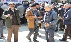 Üreticilere ücretsiz fidan dağıtımı yapıldı