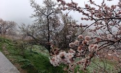 Nisan'da Afyonkarahisar'a kar sürprizi!..