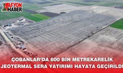 Çobanlar’da 600 Bin Metrekarelik Sera Yatırımı Hayata Geçirildi