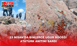23 Nisan’da Binlerce Uğur Böceği Atatürk Anıtını Sardı