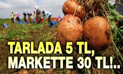 Patates tarlada 5, markette 30 TL!..