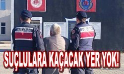 Suçlulara Kaçacak Yer Yok: 46 Aranan Şahıs Yakalandı!