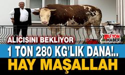 1.28 Tonluk dev dana alıcısını bekliyor!..
