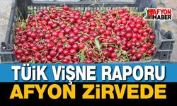 TÜİK Vişne Raporu: Afyon Zirvede