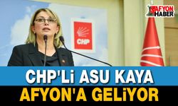 CHP’li Asu Kaya Afyonkarahisar'a geliyor