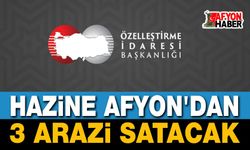 Hazine, Afyon'dan 3 arazi satacak