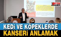 Kedi ve Köpeklerde Kanseri Anlamak