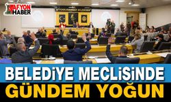 Belediye Meclisi 2 Haziran'da Toplanıyor