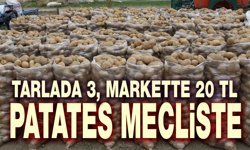 Patates olayı TBMM gündeminde!..