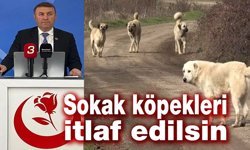 BBP'li Çağlar: Sokak köpekleri itlaf edilsin