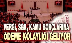 Vergi, SGK ve kamu borcu ödemelerine kolaylık geliyor