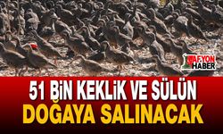 51 Bin Keklik Ve Sülün Doğaya Salınacak