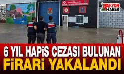 6 Yıl Hapis Cezası Bulunan Firari Yakalandı