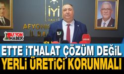 Mısırlıoğlu’ndan Hükümete Hayvancılık Çağrısı