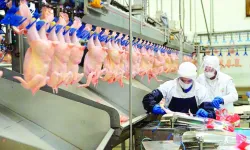 Beyaz et sektöründeki kayyım kararları kaldırıldı