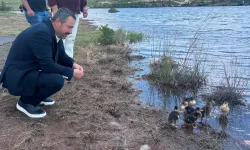 Başkan Öztaş Frigya’daki Ördek Salımına Katıldı