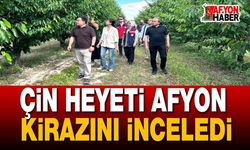 Çin Heyeti Afyonkarahisar Kirazını İnceledi