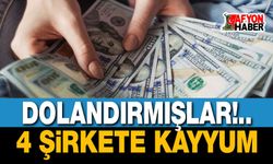 4 şirkete kayyum atandı