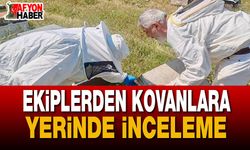 Afyon'da Arıcılık Faaliyetlerine Sıkı Takip