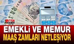 Emekli ve memur maaş zamları netleşiyor