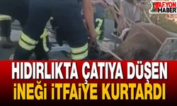 Hıdırlık'ta Çatıya Düşen İneği İtfaiye Kurtardı