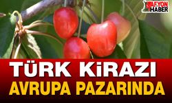 Türk Kirazı Avrupa Pazarını Tatlandıracak
