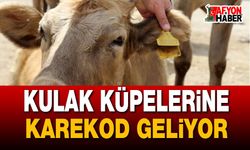 Kulak Küpelerinde Karekod ve Yeni Düzenleme